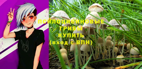 винт Каменка