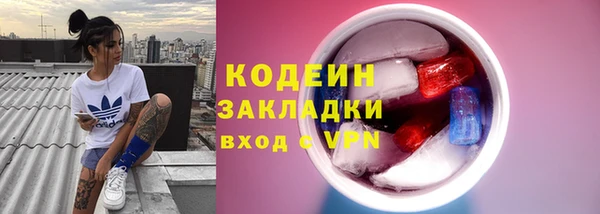 винт Каменка