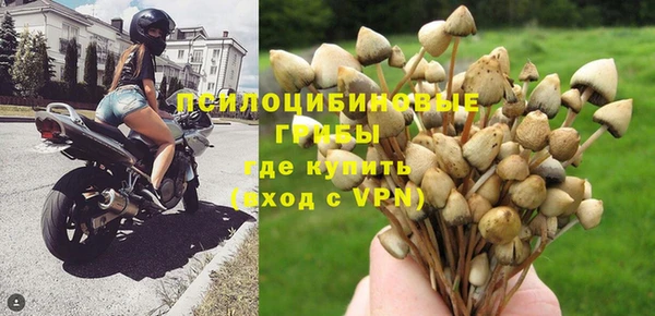 винт Каменка