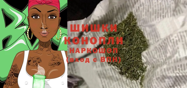 винт Каменка