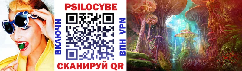 Купить закладки  Павловская  Псилоцибиновые грибы Psilocybe 