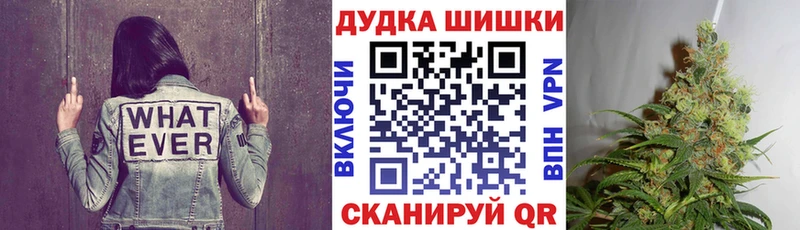Бошки Шишки план Павловская